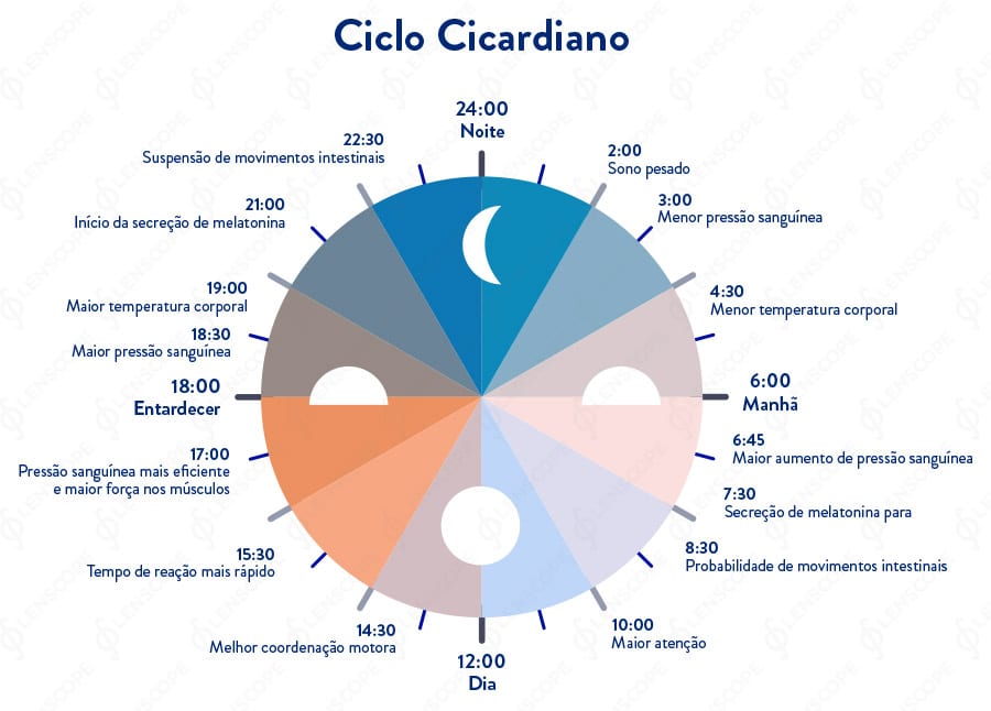 Ciclo circadiano sueño