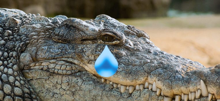 lágrima de crocodilo