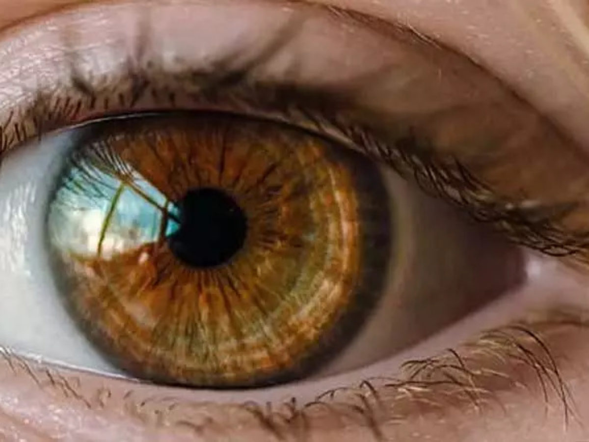 Descobrir 99+ imagem como melhorar olho fundo - br.thptnganamst.edu.vn