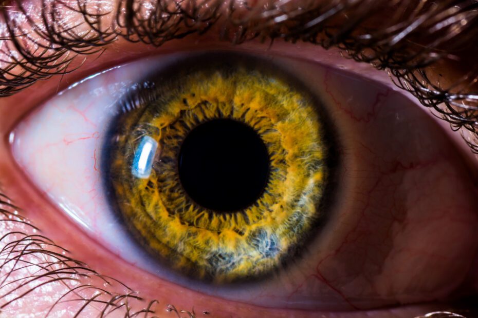 A função da pupila, o que é, anatomia e tamanho